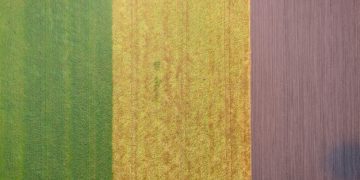 Drones na Agricultura de Precisão: Guia para Reduzir Custos em 20% - Cover Image