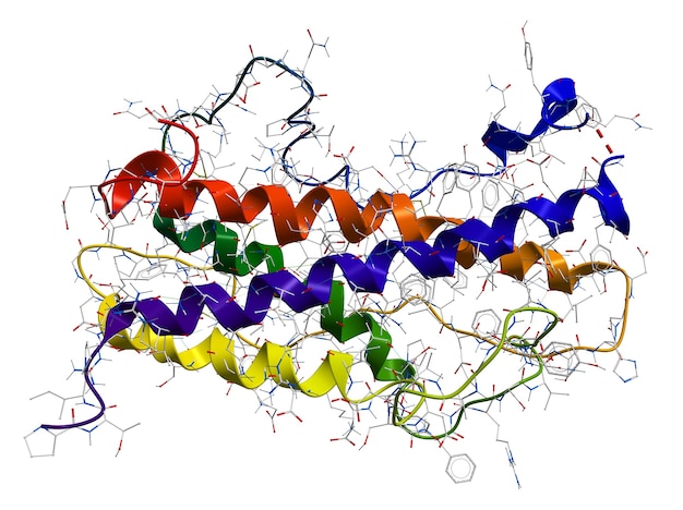 A detailed, color-coded illustration of the double helix structure of DNA, showing the base pairs (A-T, C-G) and the sugar-phosphate backbone.