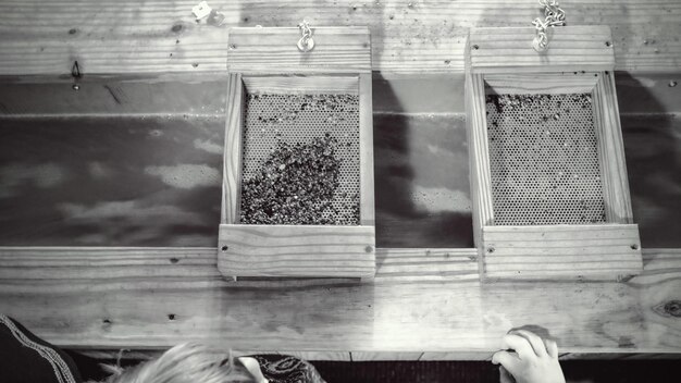 A photograph showcasing worker bees inside a hive, each engaged in a specific task such as feeding larvae, building honeycomb cells, or cleaning debris. The image should convey the bustling activity and organized structure of the bee colony.