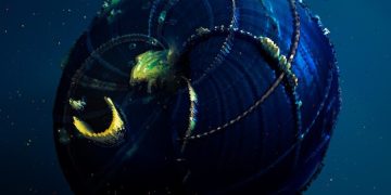 Novo Planeta Habitável: O Futuro da Busca por Vida Extraterrestre em 2025 - Cover Image