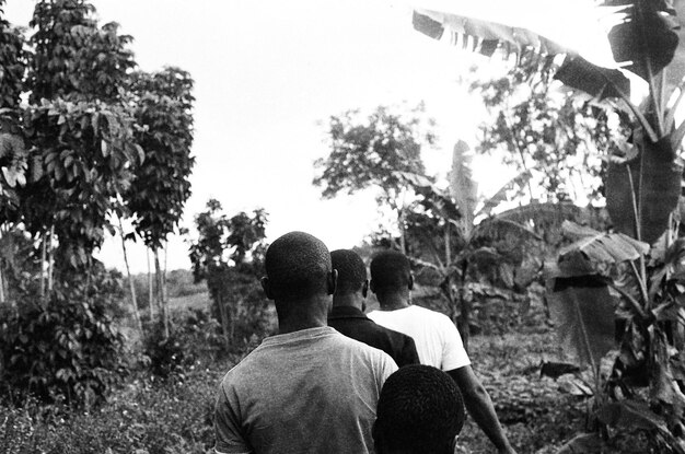 A black and white photograph showing Italian immigrant families working in a coffee plantation in Brazil during the early 20th century. The families are dressed in simple clothing and are seen picking coffee beans while children play nearby.